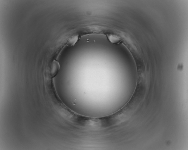 X0000097000317200802081450
