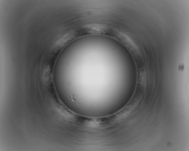 X0000097000318200802081450