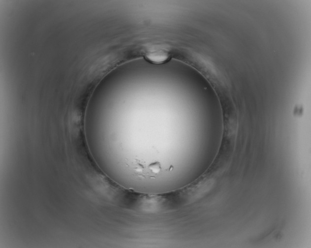 X0000097000321200802081449
