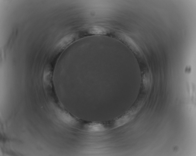 X0000097000322200802081449