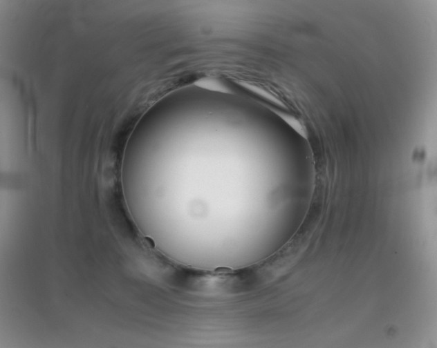 X0000097000323200802081449