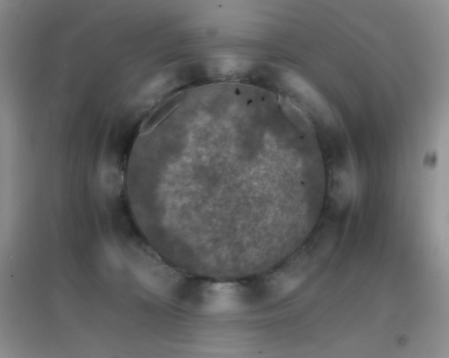 X0000097000324200802081449