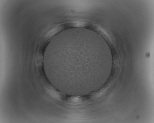 X0000097000325200802081449