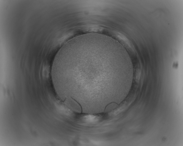 X0000097000326200802081449