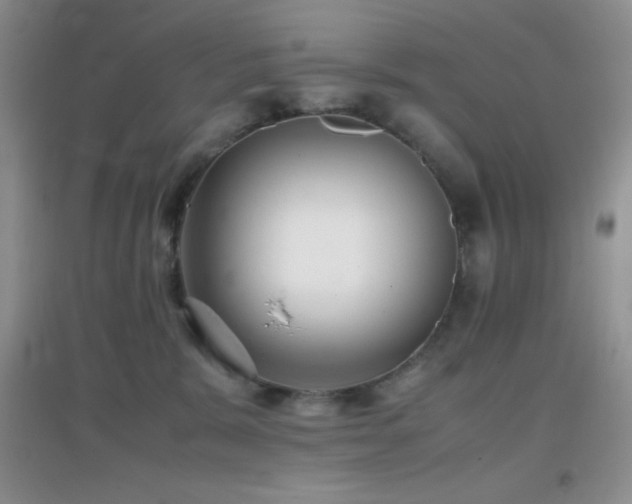 X0000097000327200802081449