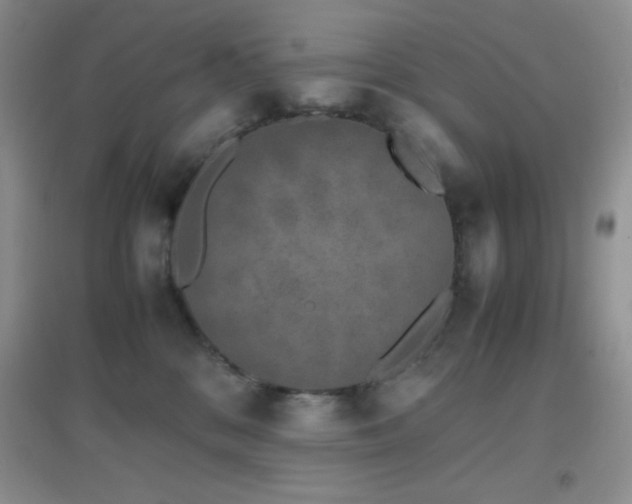 X0000097000328200802081449