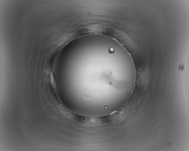X0000097000329200802081449