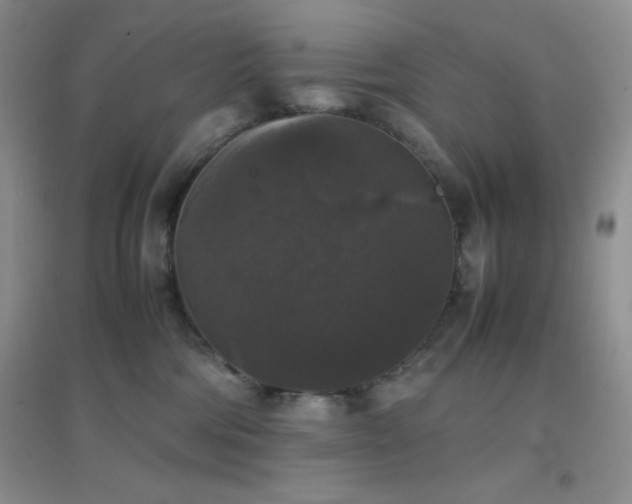 X0000097000330200802081449