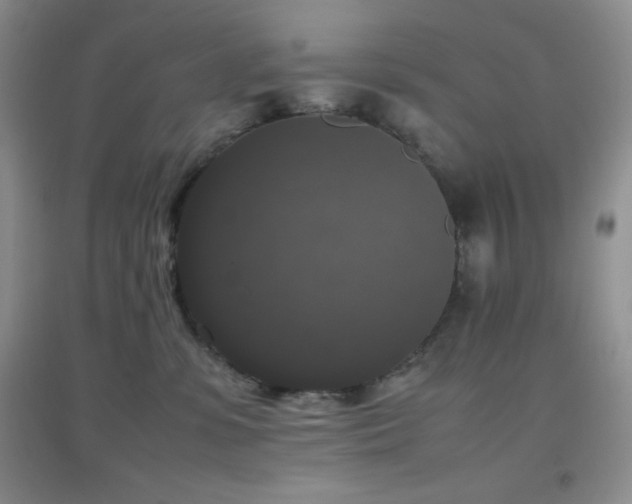 X0000097000331200802081449