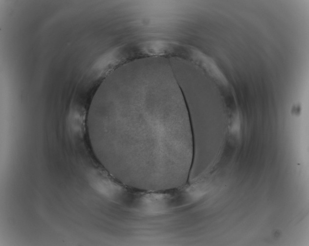 X0000097000332200802081449