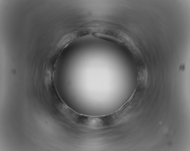 X0000097000333200802081449