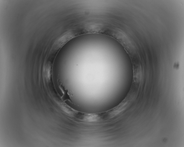 X0000097000334200802081449