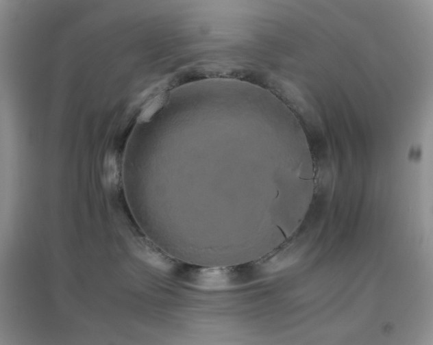 X0000097000335200802081449