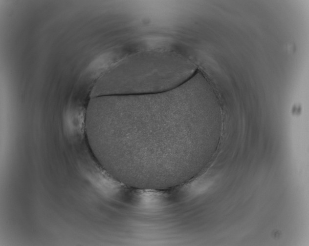 X0000097000336200802081449