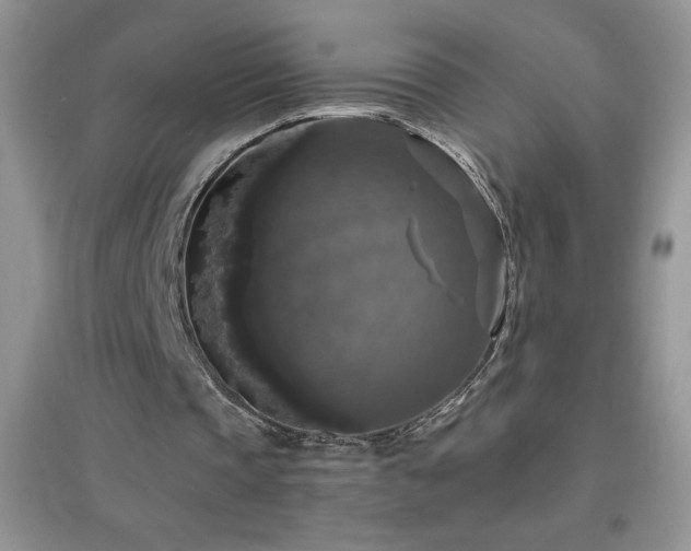 X0000097000337200802081449
