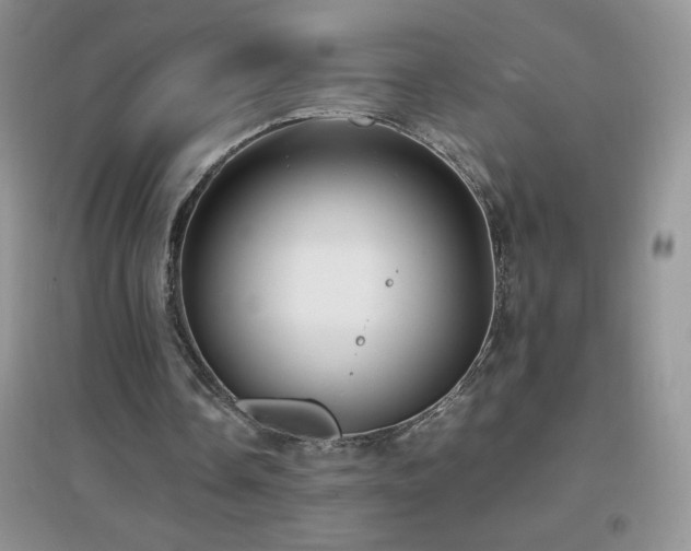 X0000097000338200802081449