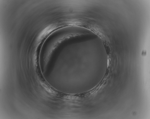 X0000097000339200802081449