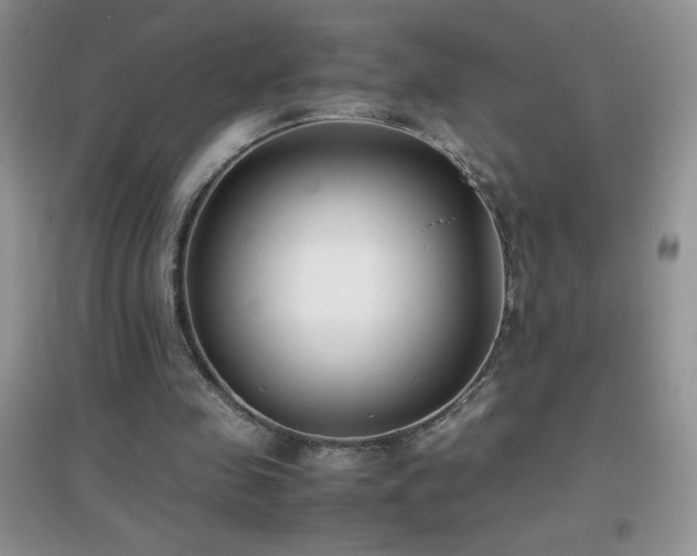 X0000097000341200802081449
