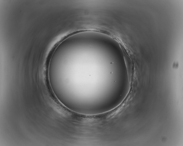 X0000097000342200802081449