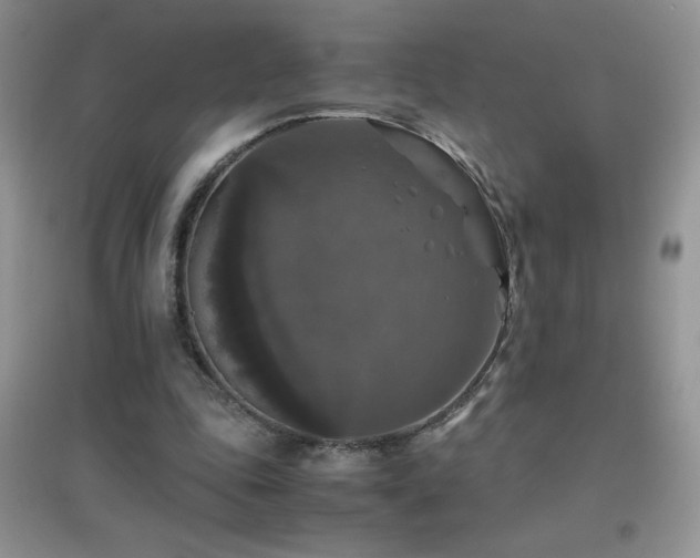 X0000097000343200802081449