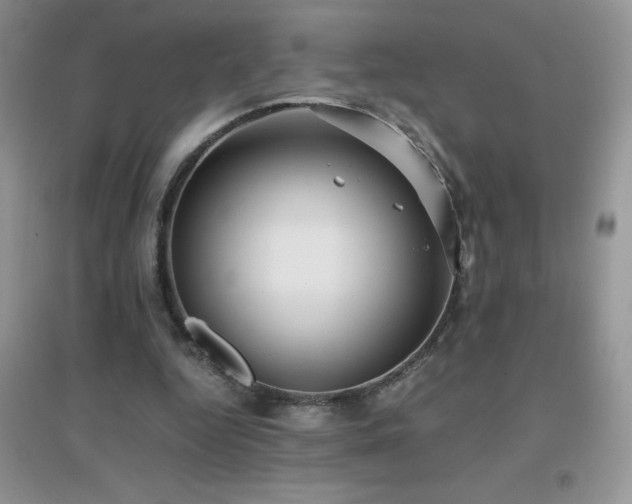 X0000097000344200802081449