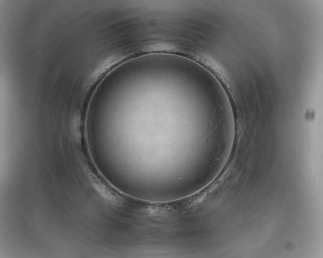 X0000097000345200802081449