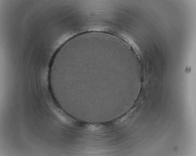 X0000097000346200802081449
