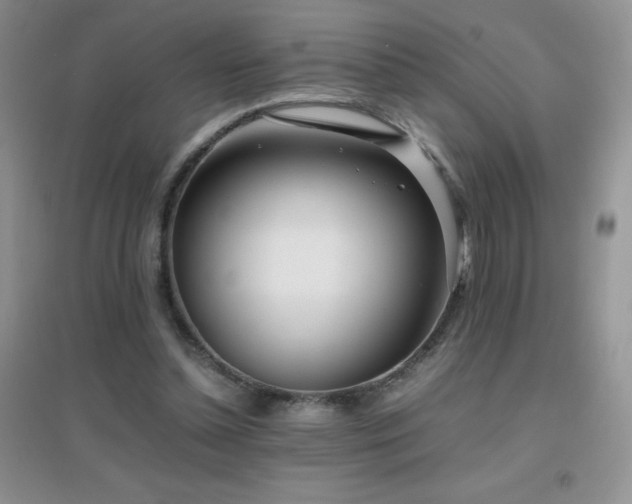 X0000097000348200802081449