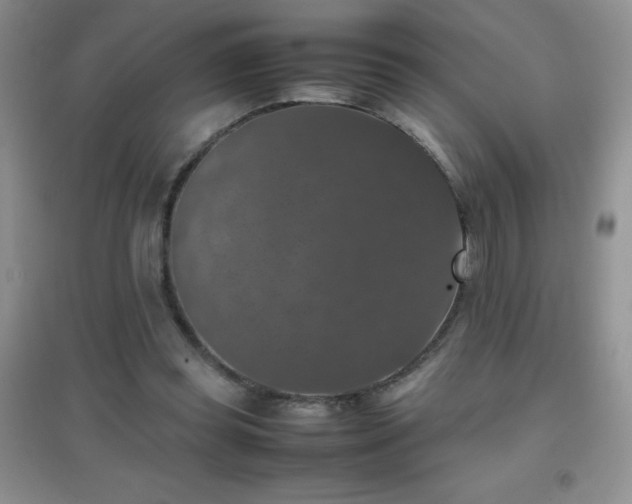 X0000097000349200802081449