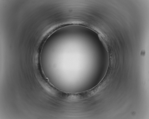 X0000097000350200802081449