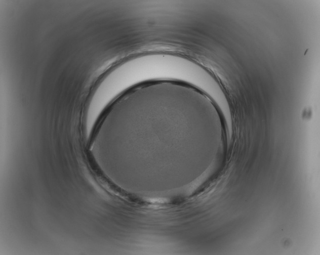 X0000097000352200802081449