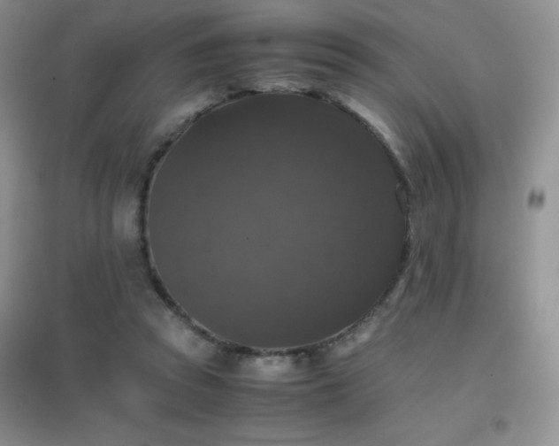 X0000097000353200802081449