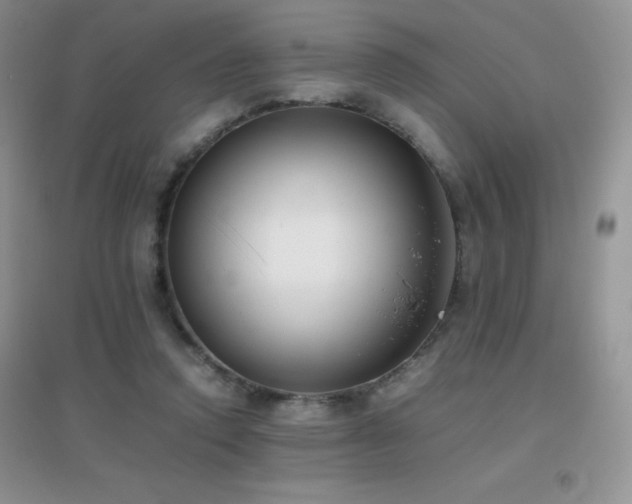 X0000097000354200802081449