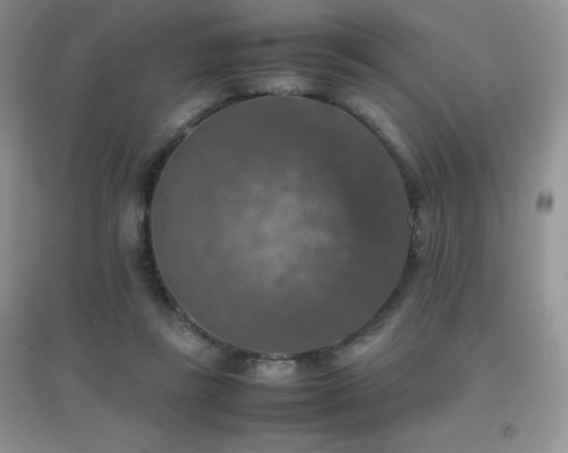 X0000097000355200802081449