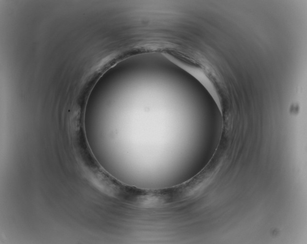 X0000097000356200802081449