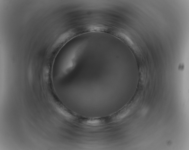 X0000097000357200802081449