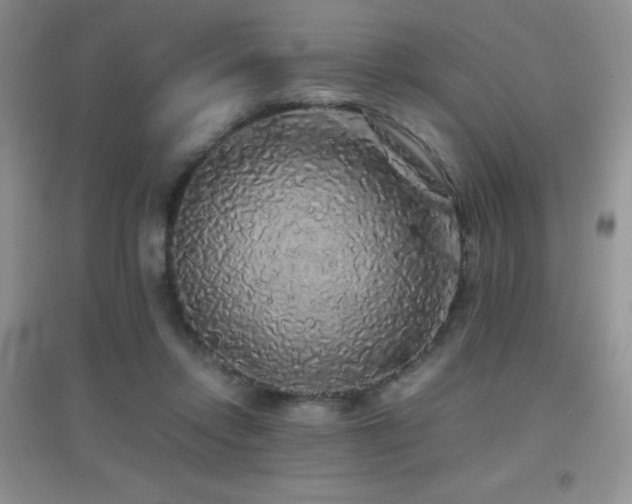 X0000097000358200802081449