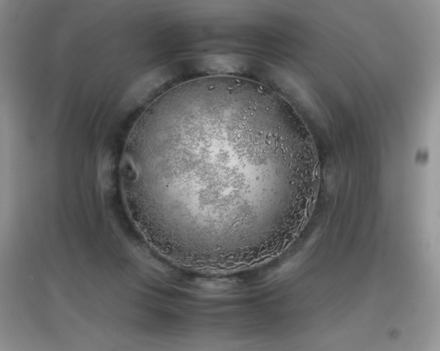 X0000097000359200802081449