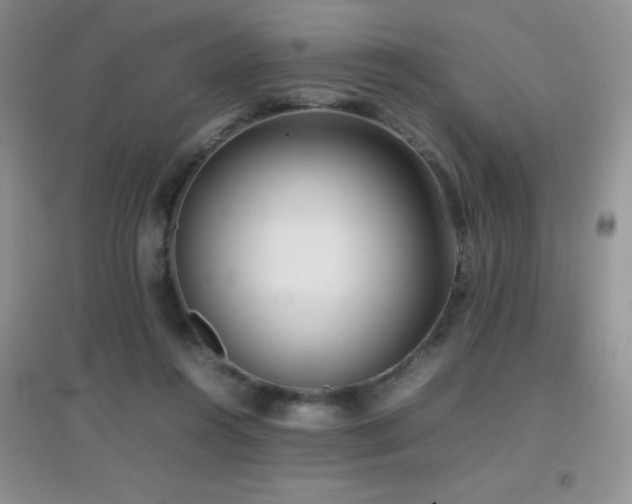 X0000097000360200802081449