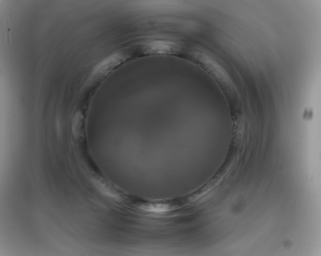 X0000097000361200802081449