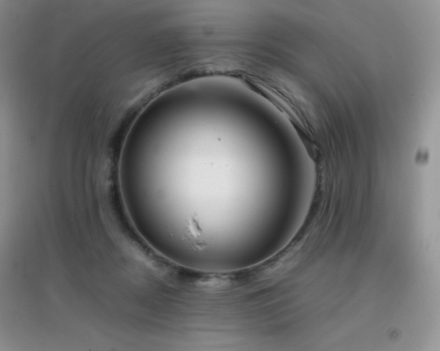 X0000097000362200802081449