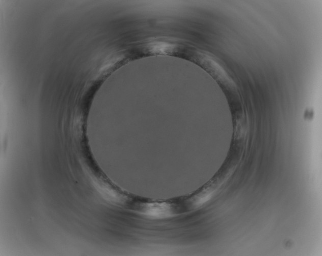 X0000097000363200802081449