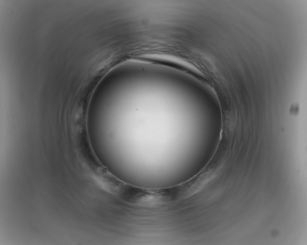 X0000097000364200802081449