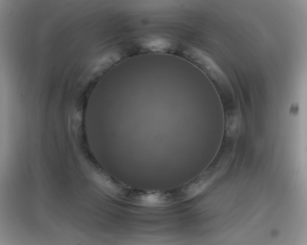 X0000097000365200802081449