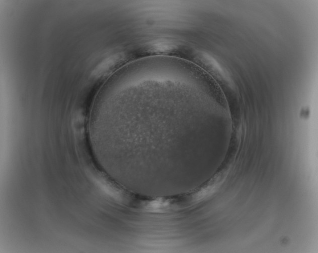 X0000097000366200802081449
