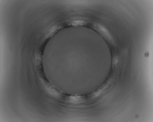 X0000097000367200802081449