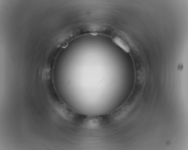 X0000097000368200802081449