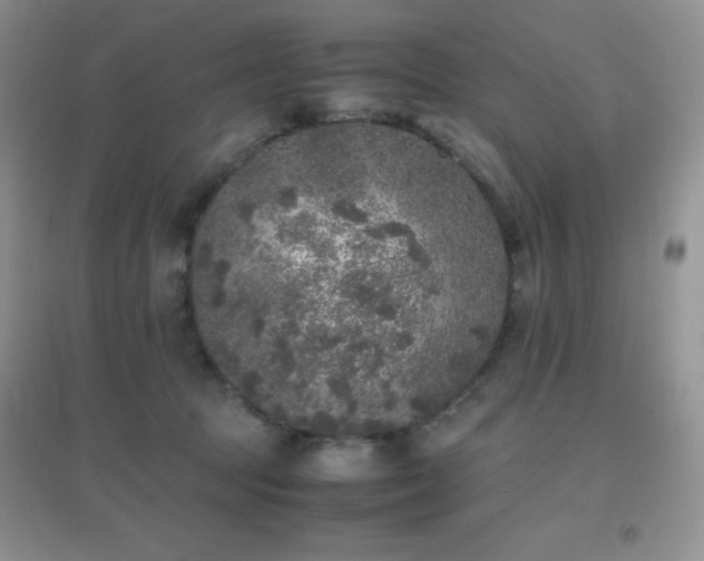 X0000097000369200802081449
