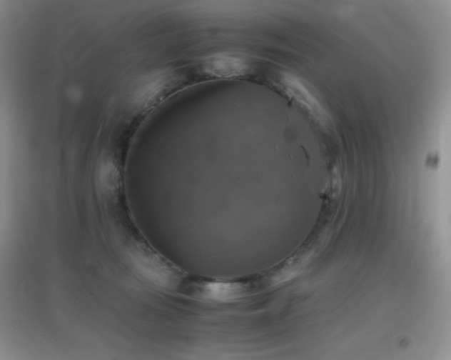 X0000097000371200802081449