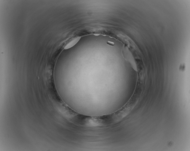 X0000097000372200802081449